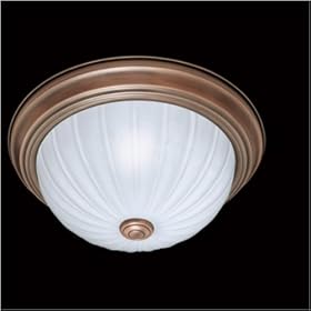 Thomas Lighting - SL8681-14 by Thomas Lighting