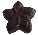 J. Michelle Chocolatier Solid Belgian Dark Chocolate Plumeria