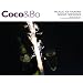 4 x Coco&Bo - Palazzo Indoor Ice Fountain Fireworks - Cocktail Party / Dessert Accessories - Hawaiian Luau Beach Party / Hollywood Vegas Casino Night