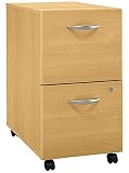 2 Drawer File 41Hl4MEbvEL. SL160