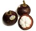 Frieda's Fresh Mangosteen
