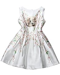 Full-Skirt Spring 2015  Dress