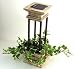 Outdoor Living : Garden Greek Column Planter Ornament with Solar Light