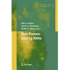 Click here to buy Non-Protein Coding RNAs (Springer Series in Biophysics) by  Nils Walter, Sarah A. Woodson, and Robert T. Batey.