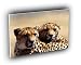 cheetah strategic planning pair A2 Large Canvas
