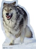 Life-Size WOLF in the SNOW Cardboard Standup Poster