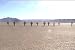 Working for the Man: the Building Burning & Disappearance of Black Rock City 2000