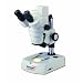 Thomas Digital Stereo Microscope