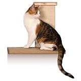 SmartCat 3817 Sky Climber