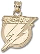 Tampa Bay Lightning New Logo 5/8" Charm/Pendant -14K/10K, Stainless Steel or Gold Plated