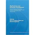 Big Business And Economic Development (Conglomerates And Economic Groups in Developing Countries And Transition Economies Under Globalisation) (Routlegde Studies in International Business and the World Economy) (Hardcover)