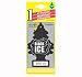 Black Ice Fragranced Magic Tree Car & Home Hanging Air Freshener