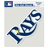 Tampa Bay Rays 8x8 COLOR Die Cut Window Cling