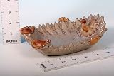 Review SGP  / Porcelain Hedgehog Deisgn Plate 16cm (630321)