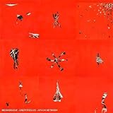 Revue Animal Collective  / Hollinndagain