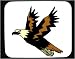 Decorated Mouse Pad with flying, bird, eagle