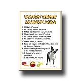 Boston Terrier Property Laws Fridge Magnet