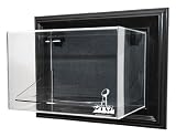 NFL 2011 Super Bowl XLVI Wall Mountable Football Display Case
