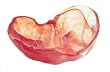 Petal Bowl