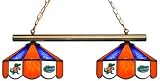 34 Game Pool Table Lamp Light University of Florida Gators - Free Shipping