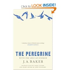 The Peregrine: The Hill of Summer & Diaries