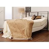 Leggett & Platt 4AL03 Silhouette Base and Mattress Size/Mattress Type: Twin XL with Firm Mattress 41Hn8QThNaL. SL160 Leggett & Platt 4AL03 Silhouette Base and Mattress Size/Mattress Type: Twin XL with Firm Mattress