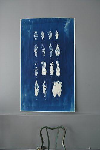 Massive Goddess Identification Cyanotype Chart