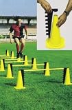 Graduated Soccer Hurdles