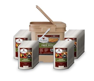 Wise Company 120 Serving Entree Only Grab And Go Kit 15x12x10-inch20-pounds by Wise Company