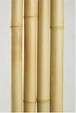 Bamboo Poles 2 Inch X 8 Feet, Carton of 4 Poles