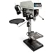 DELTA DP300L 12-Inch TwinLaser Crosshair Drill Press