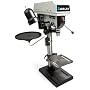 DELTA DP300L 12-Inch TwinLaser Crosshair Drill Press