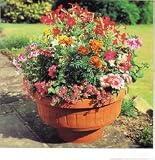 Bosmere F730 18 Inch Round Self Watering Planter with1.3 Gallon well - Terracotta color
