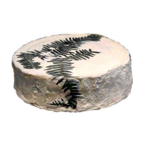 Fougerus Large (pre order) by Gourmet Food Store
