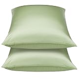 Whispersilk Pillowcase Set of 2 - Celery