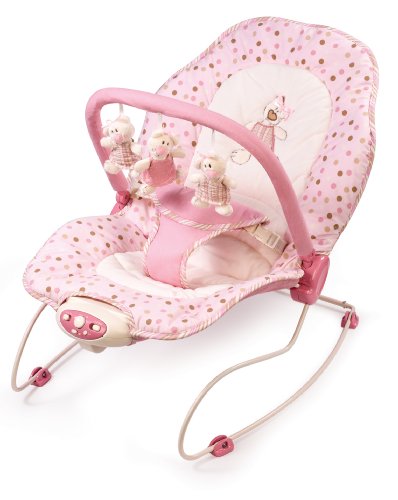 Buy Low Price Cozy Summer Infant Mother’s Touch II Deluxe Bouncer B000XSGJGI