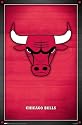 Chicago Bulls (New Logo) Sports Poster Print - 24" X 36"