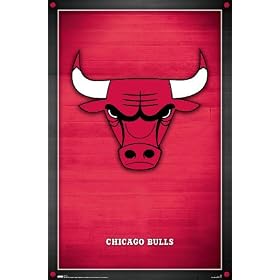 Chicago Bulls NBA Basketball Logo 22x34 Poster