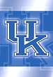 U of Kentucky Wildcats Silk Reflections Flag - Garden Size