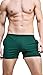 Linemoon Men's Solid Cotton Sleep Bottoms Fashion Green Simple Active Shorts 29-33 Inches