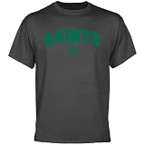 NCAA Siena Saints Charcoal Logo Arch T-shirt