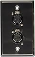 Seismic Audio SA-PLATE42 Stainless Steel Wall Plate -Dual XLR Female Connectors for Cable Installation
