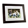Pandigital Pantouch PAN8000DWPCF1 8-Inch Touchscreen LCD Digital Picture Frame with 1 GB Internal Memory (Espresso Brown)