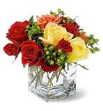 Rose Delight Bouquet