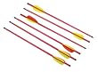 20 Long Metal Arrows Aluminum Crossbow Arrows