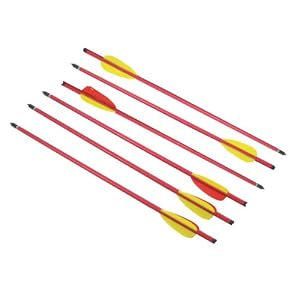 20 Long Metal Arrows Aluminum Crossbow Arrows by 