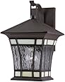 Westinghouse Lighting 6486500 One-Light Exterior Wall Lantern, Textured Rust Patina on Solid Brass and Steel with Water Glass and Tiffany Accents