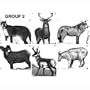 Maple Leaf Archery NFAA Official Animal Targets - Type 2