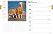 Golden Retrievers 2015 Engagement