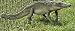 Life size Crocodile statue home garden sculpture large